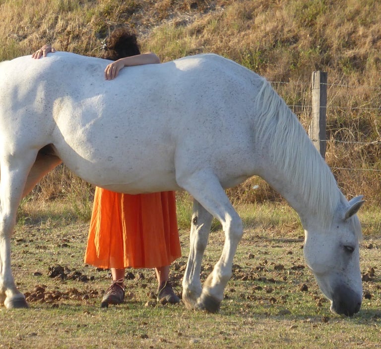 médiation équine : être épaulé par le cheval