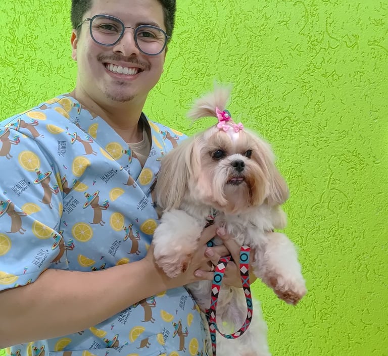 veterinario-no-jardim-sao-paulo