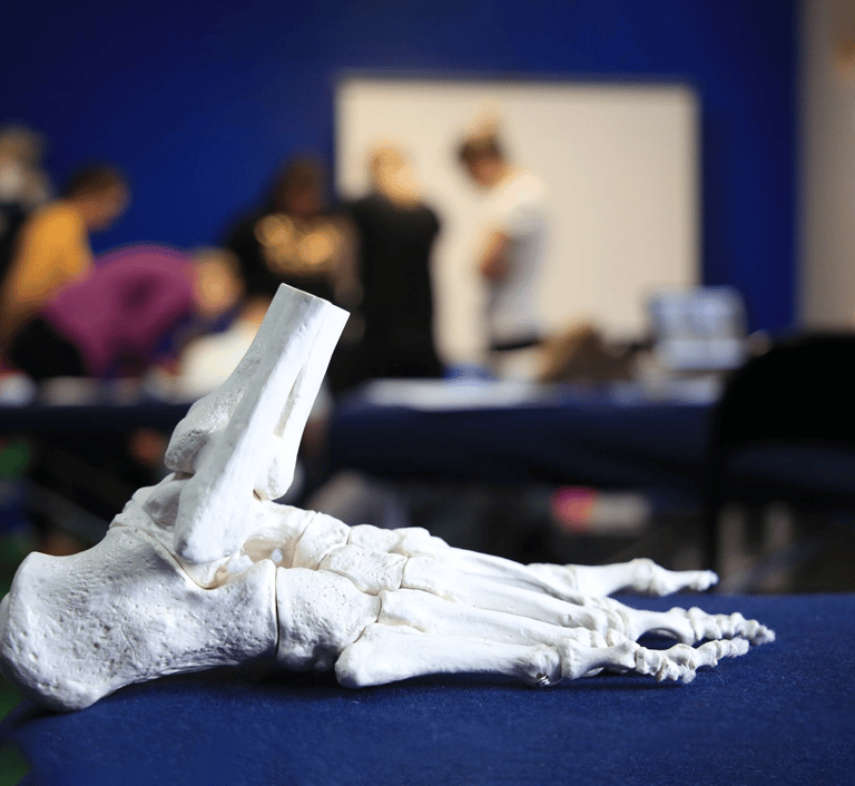 Szkolenia Stopa Fizjoterapia