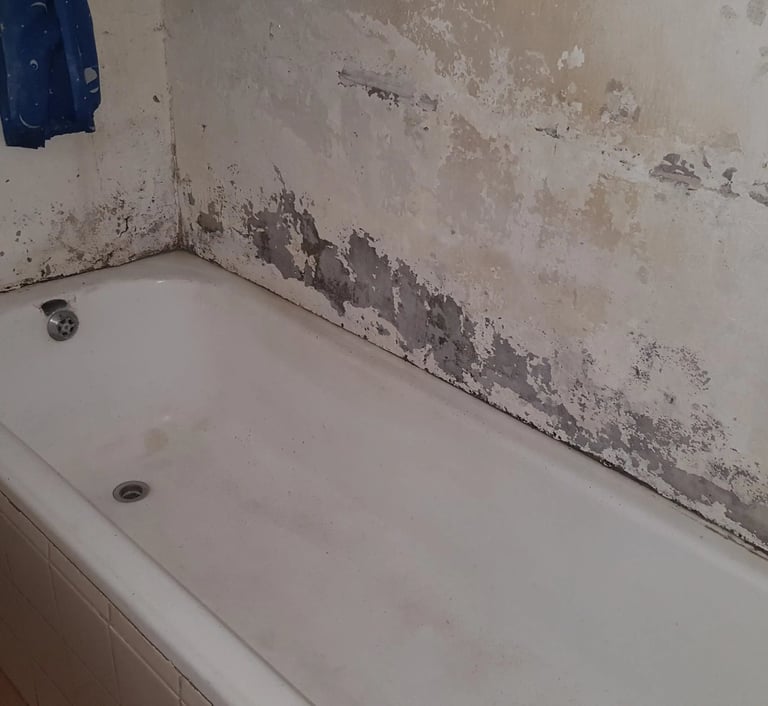 Condensation damp inspection Roodepoort
