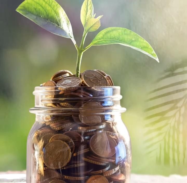 wealth & growth
