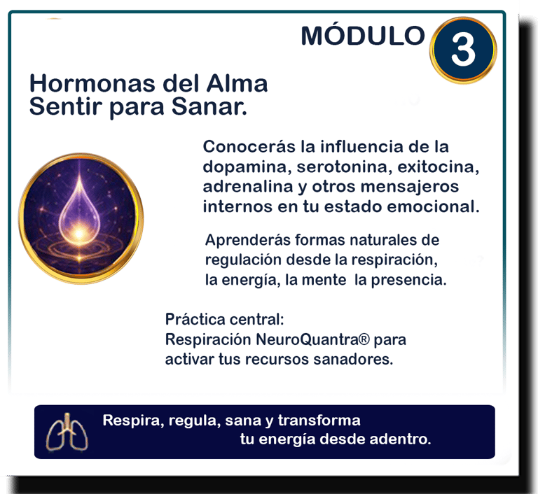 Clic para agrandar
