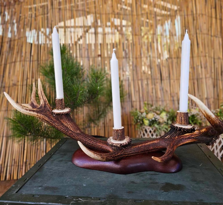Deer antler candle holder