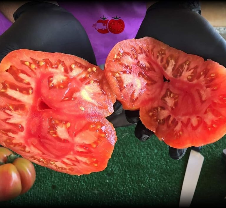 como se cortan y trocean los tomates