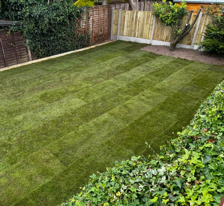 freshly layed lawn at home in malvern