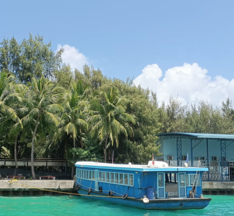 maldives palmiers eau