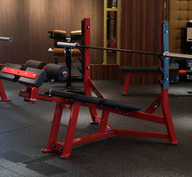 Decline Chest Press Fitzone Medan