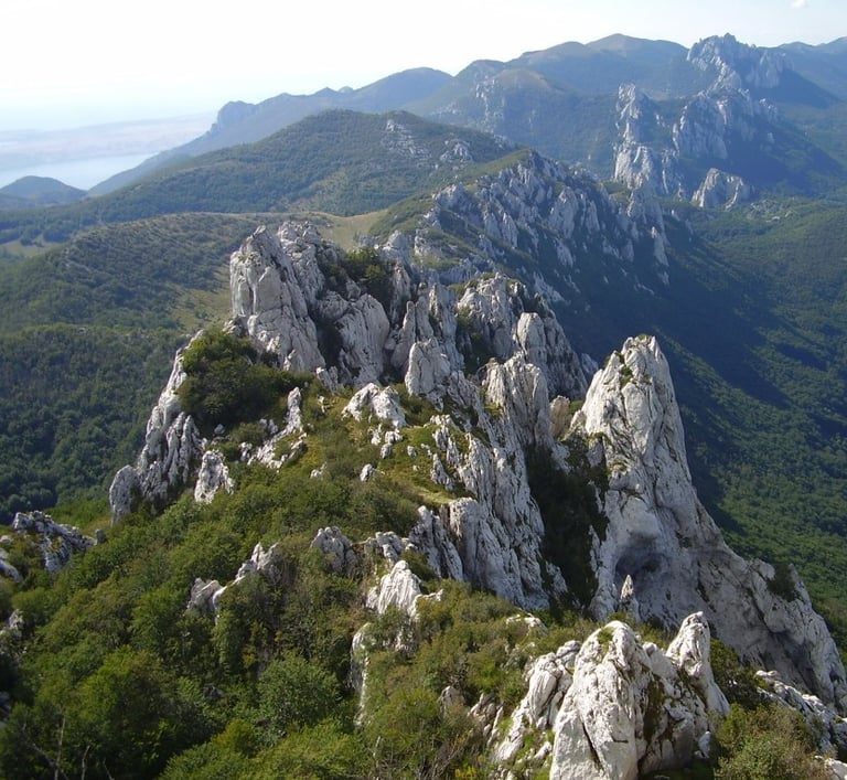 Scenic landscape of Velebit mountain with rugged peaks and dense forests.