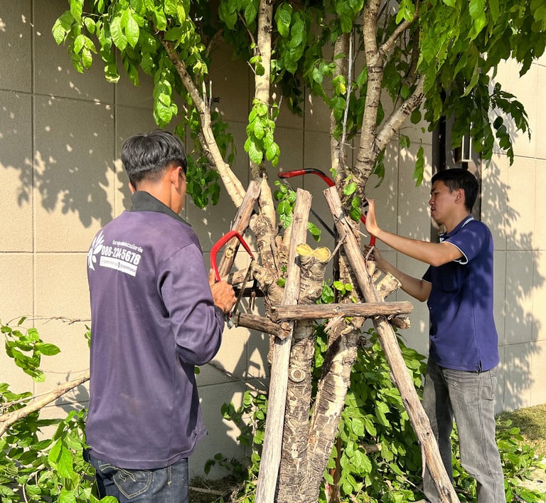 Cutting tree branches