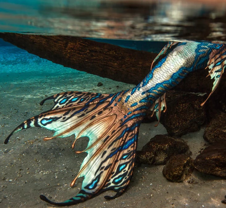 A shimmering copper, white, and blue tail by Merbella.