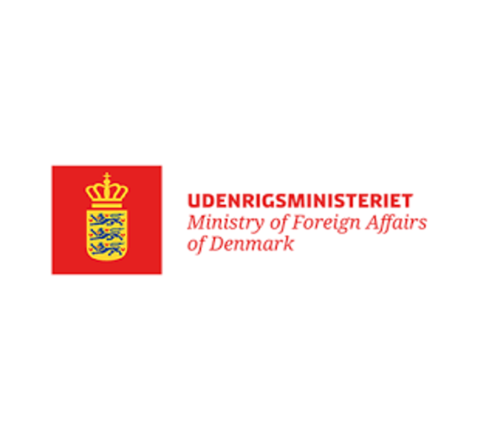 digital pioneers in cross border company registration