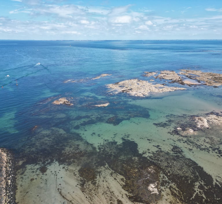 Côtes de l'herbaudière (85)