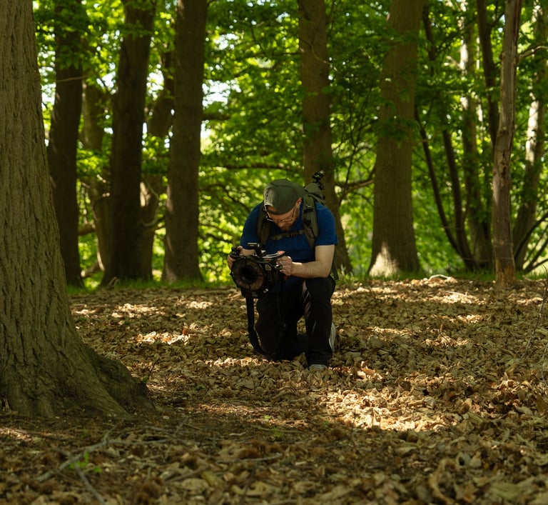 photogrammetry equipment being used to scan a tree in a forest