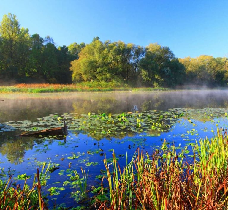 Traditional wooden houses in Lonjsko Polje surrounded by lush green meadows and river.