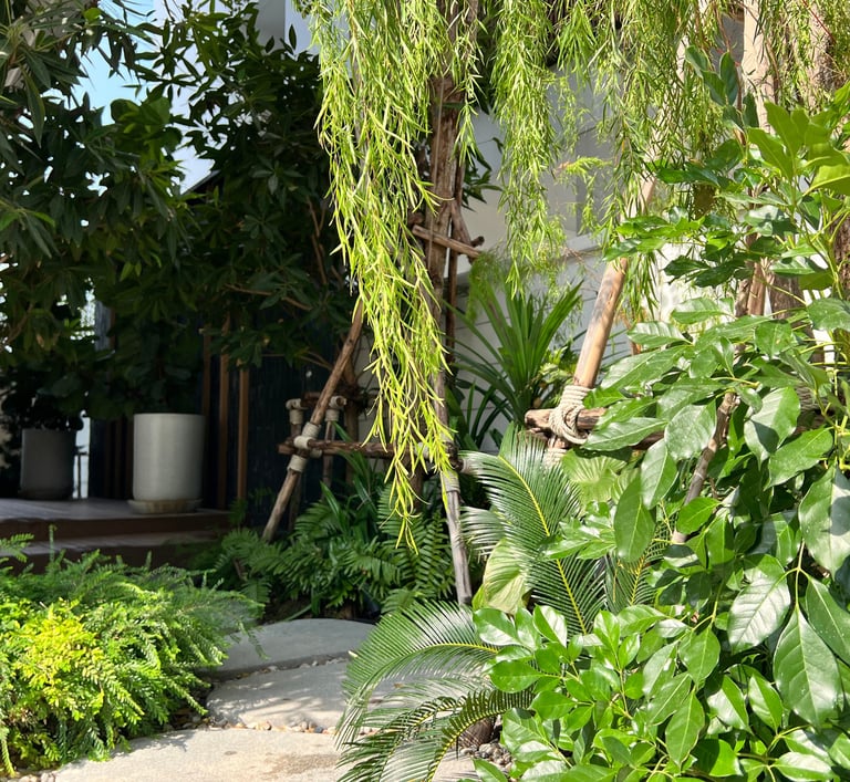 สนามหน้าบ้านตกแต่งด้วยไม้ดอกเขตร้อน