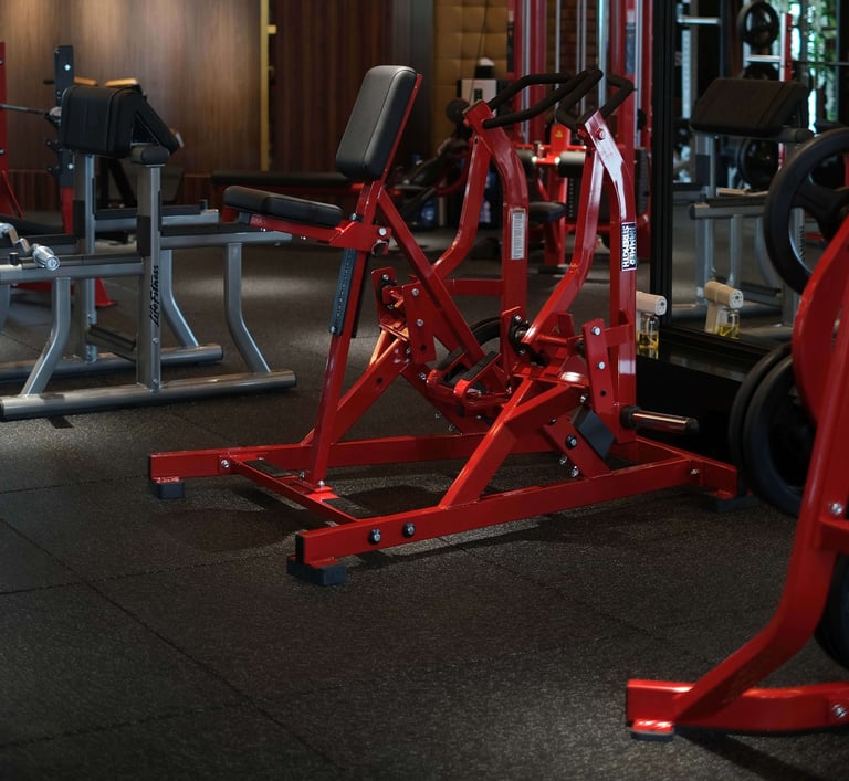   ISO Lateral Row Fitzone Medan