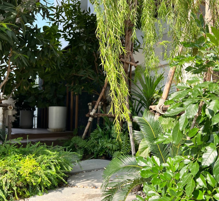 Front yard with tropical plants