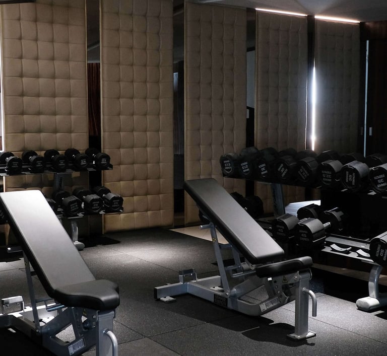 Dumbbell Area Fitzone Medan