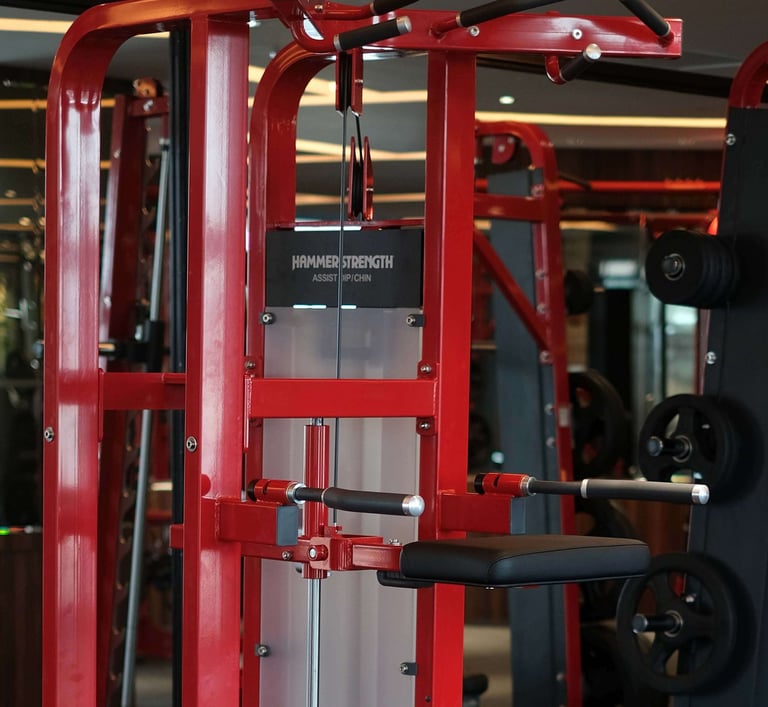 Assist Dip Fitzone Medan