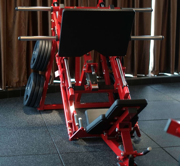 Linear Leg Press Fitzone Medan