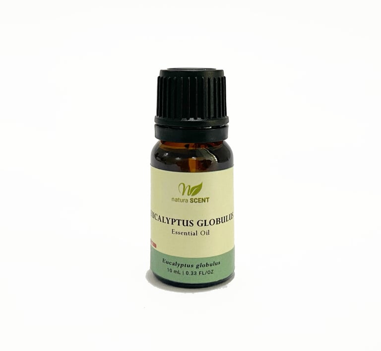 Eucalyptus Globulus Essential Oil