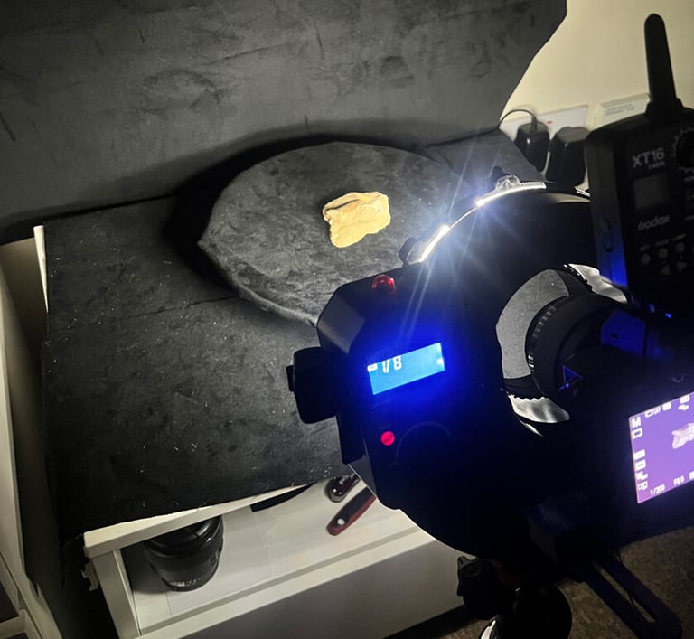 Photogrammetry equipment being used to scan a tooth fossil