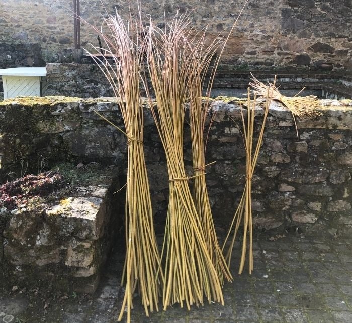 Brins d'osier - Atelier Saule Sister