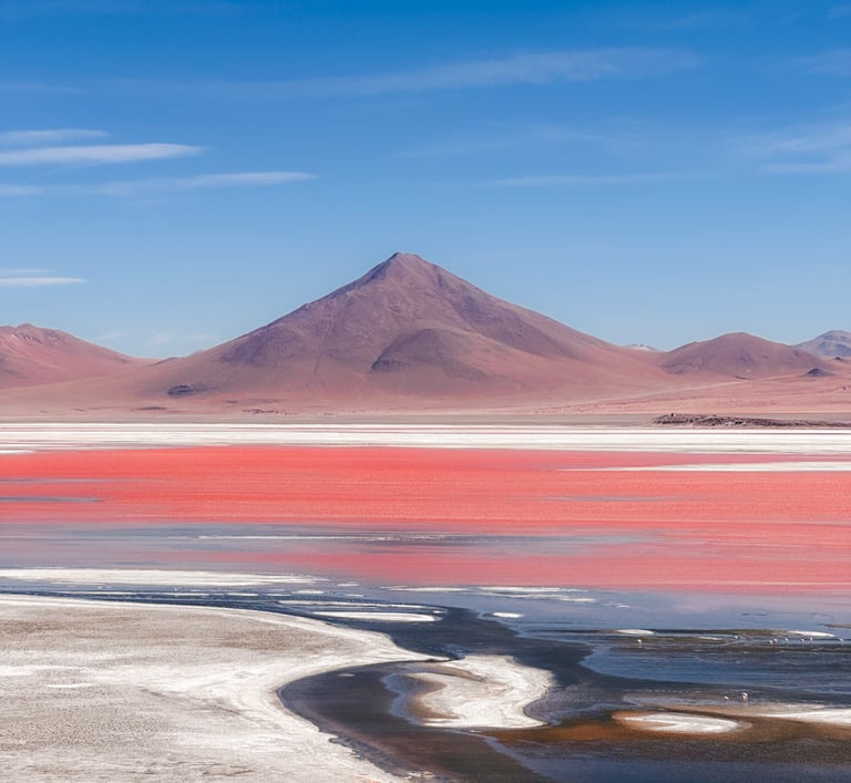 Laguna Colorado in Bolivia, South America