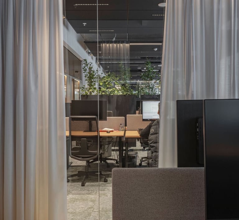 Akustinės dieninės užuolaidos Elara+print