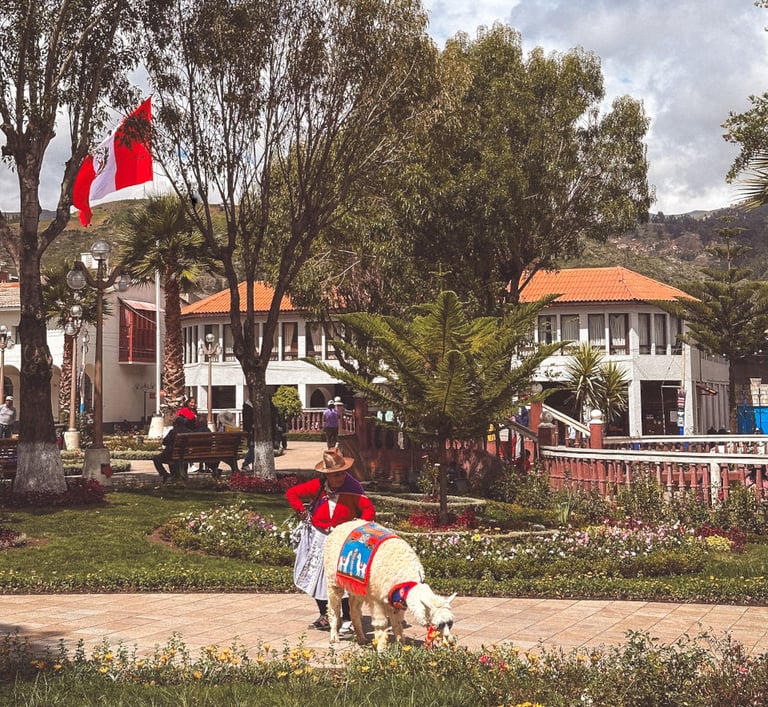 Alpaca and Peruvian Woman in the Center of Huaraz in Peru, South America