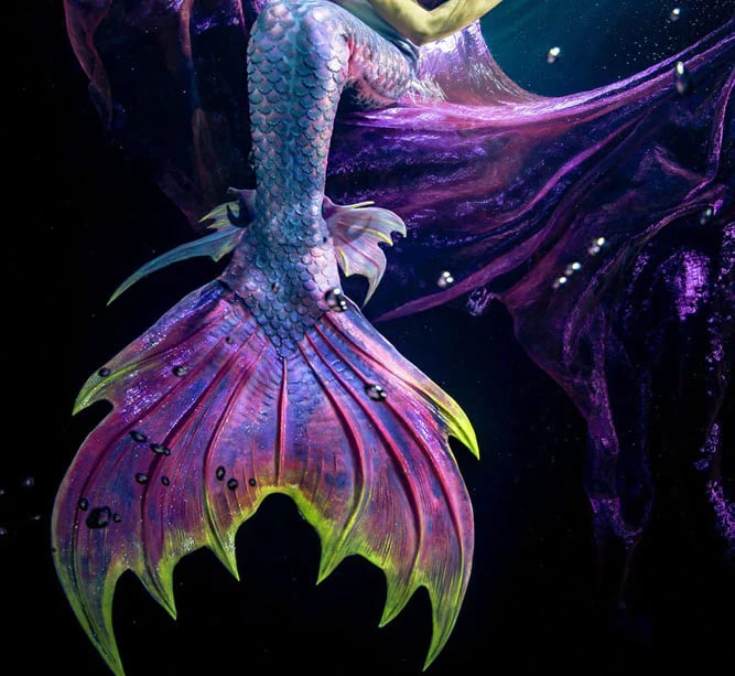 A dark purple and neon green tail by Mermaid Kat with multi colored ankle fins.