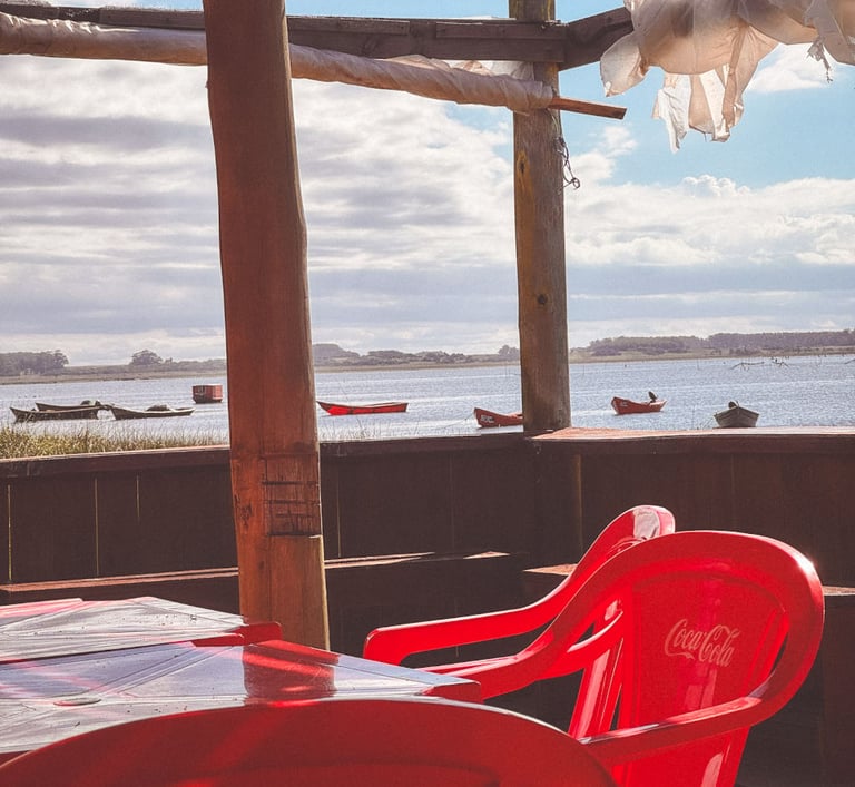 Apalco next to Laguna Rocha in Uruguay