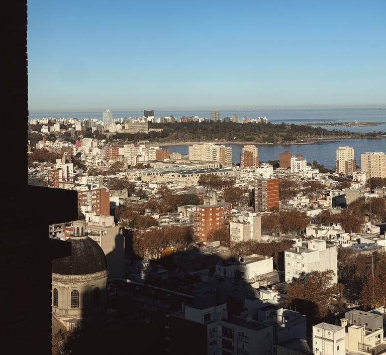 Panoramic view of Montevideo, Uruguay