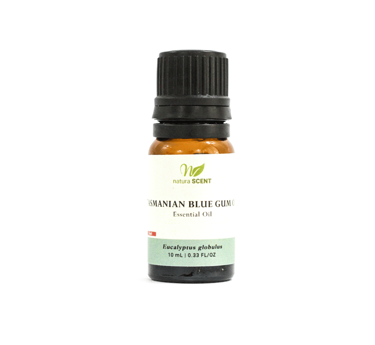 Tasmanian Blue Gum Essential Oil