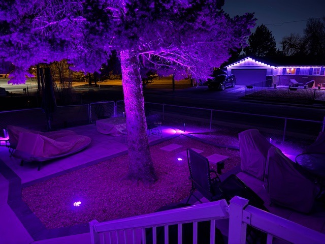 Purple LED landscape lighting illuminates a large tree and backyard patio at night.