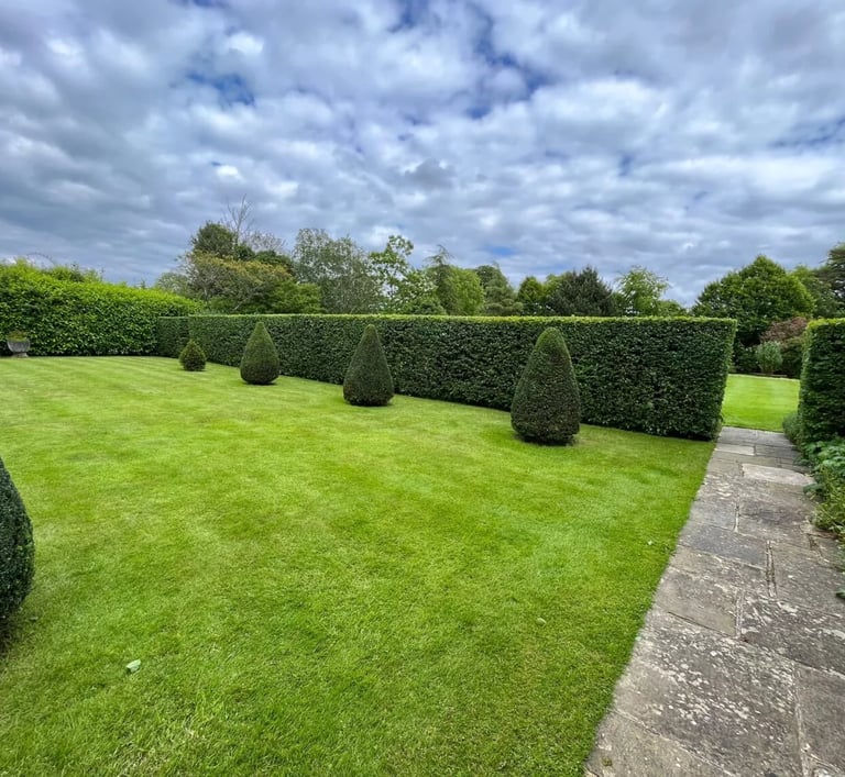 hedge cutting service hartlepool