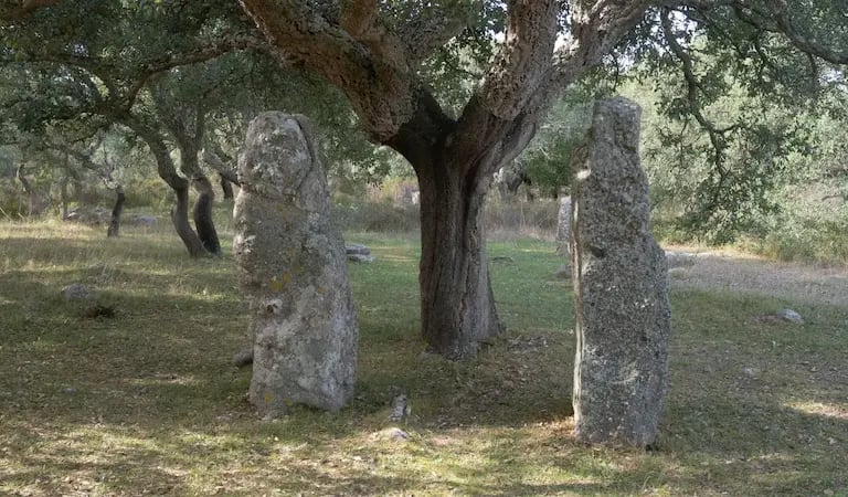 Two menhirs under an oak tree at Pranu Muttedu, Sardinia – ancient standing stones surrounded by nature.
