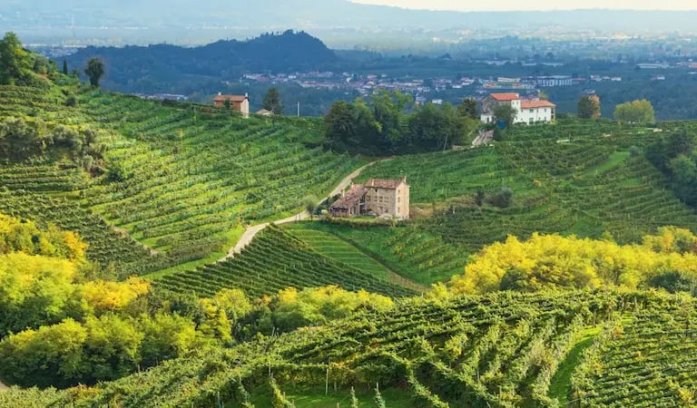 Vineyard hills of Prosecco in Veneto with farmhouses and green terraces