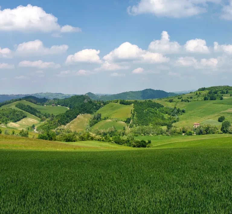 landscape Zavatarello
