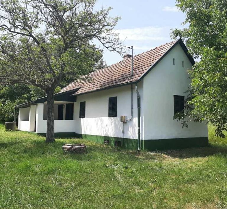 Ferienhaus in Ungarn kaufen