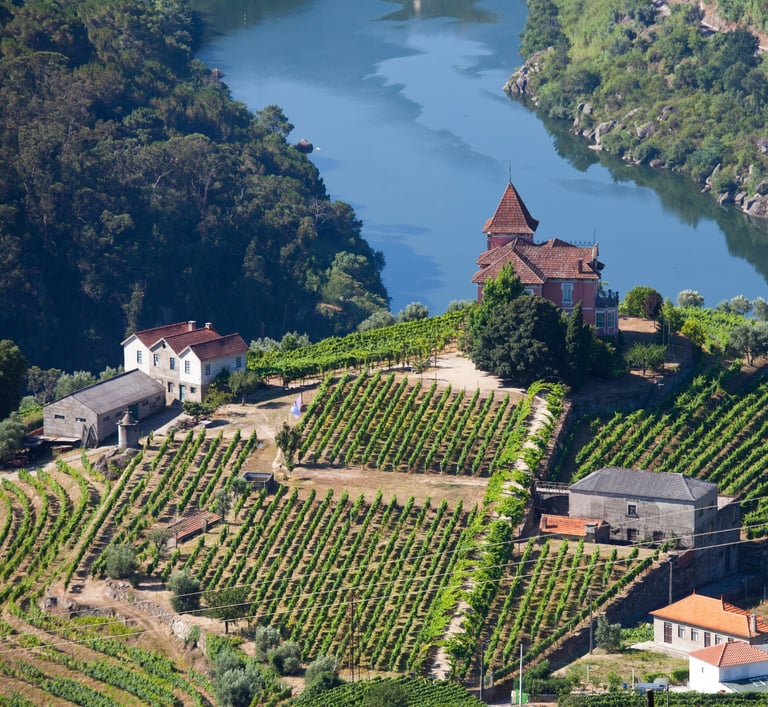 a small village with a river and a church