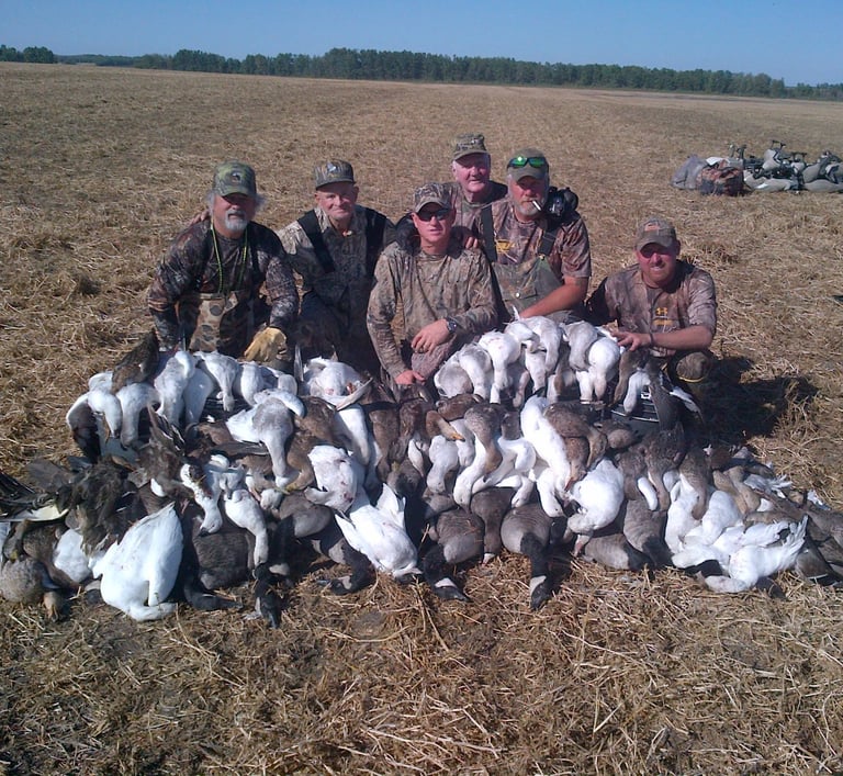Saskatchewan waterfowl hunts - pile of geese