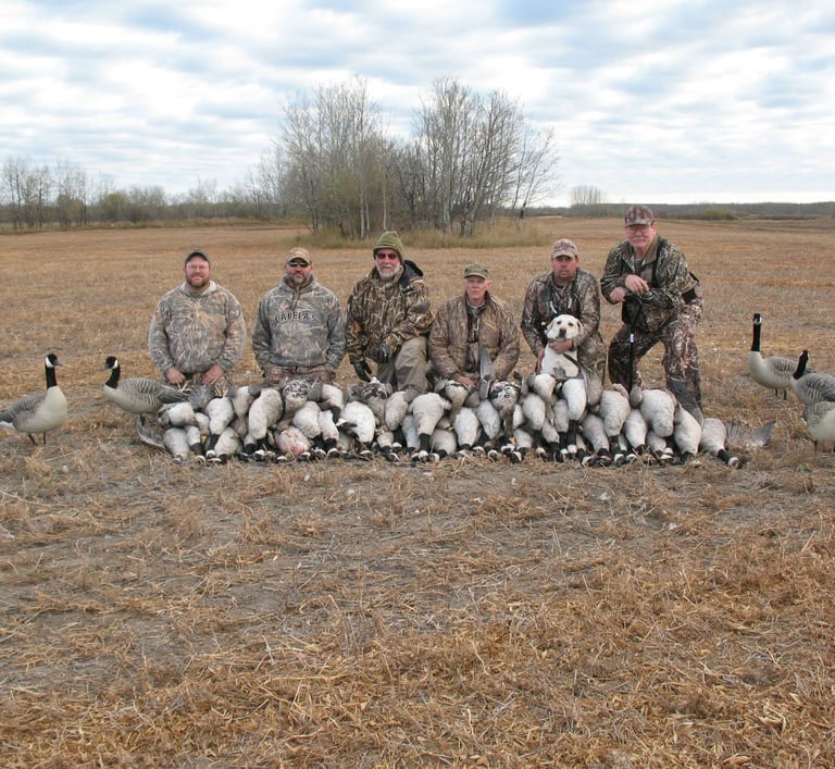 Saskatchewan waterfowl hunts - limit of honkers