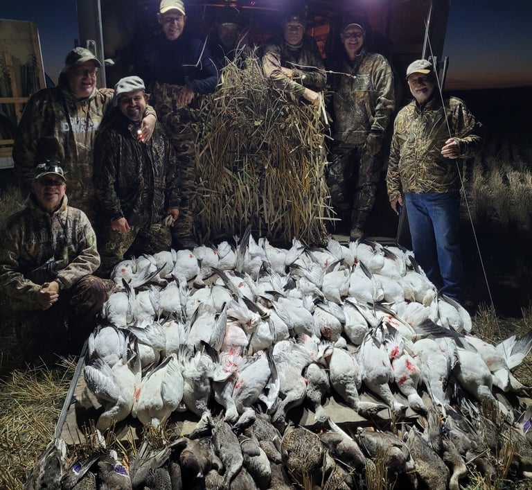 Saskatchewan waterfowl hunts - great saskatchewan snow goose and duck hunt