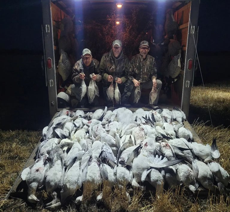 Saskatchewan waterfowl hunts - snow geese, snow geese, snow geese