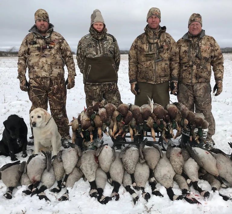 Saskatchewan waterfowl hunts - limit of ducks and geese