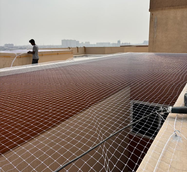 quality anti pigeon nets in bangalore