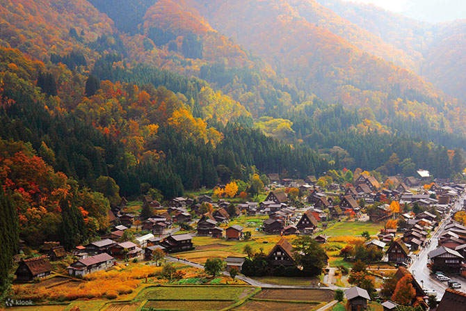 Shirakawago tour