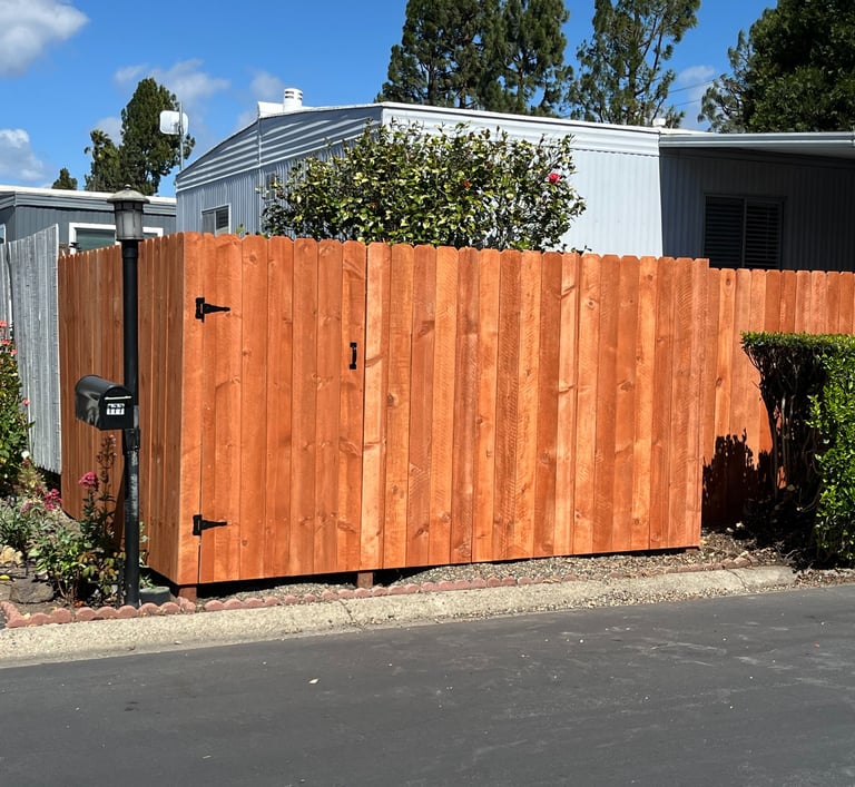 Stained Fir Fence & Gate