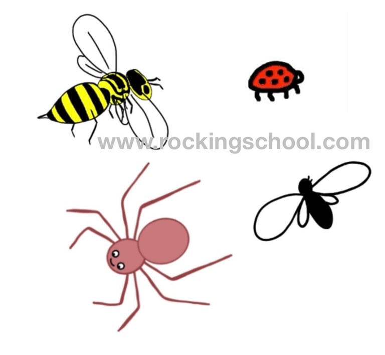 clipart insects cartoon drawing clip art